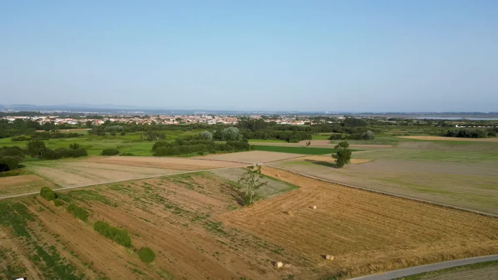 Trouver un terrain à vendre et réussir son achat en 2026