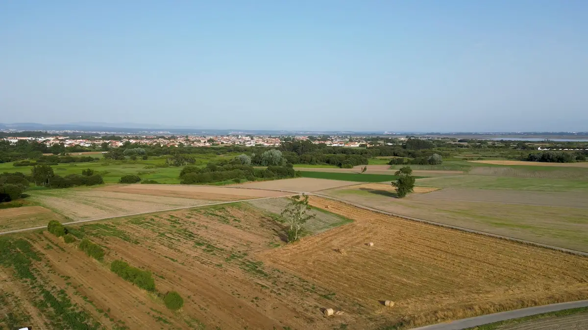 Trouver un terrain à vendre et réussir son achat en 2026